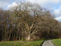 2016-01-07 16-36-56 Plaine de St Cheron CGn
